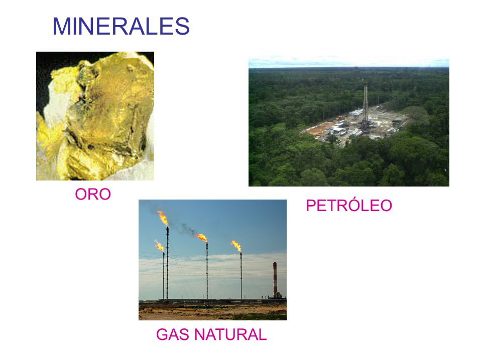 MINERALES ORO PETRÓLEO GAS NATURAL