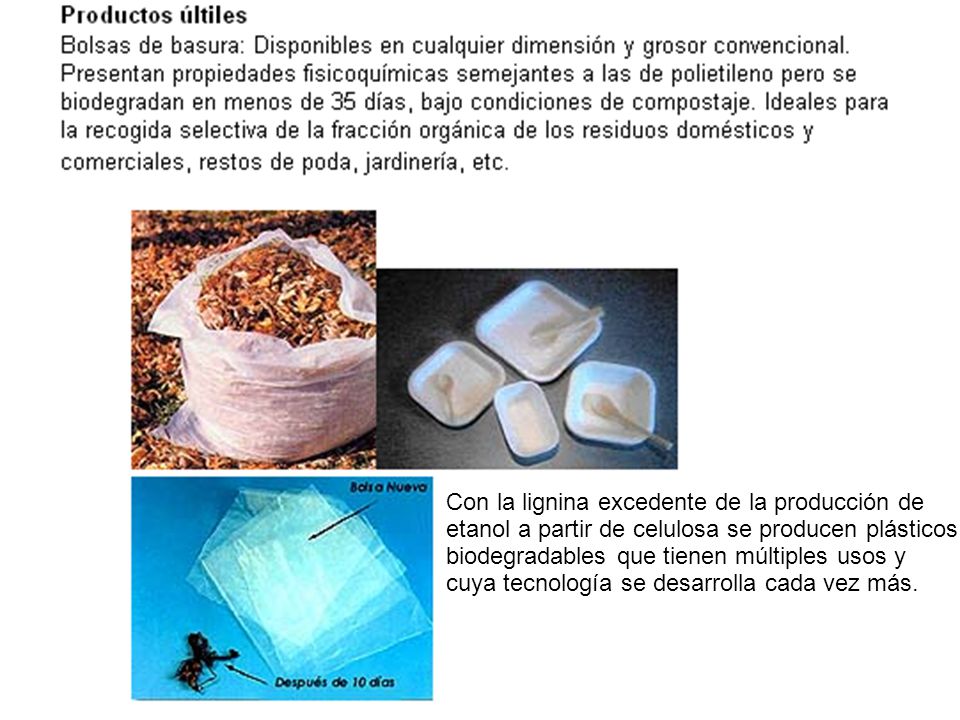 Con la lignina excedente de la producción de etanol a partir de celulosa se producen plásticos biodegradables que tienen múltiples usos y cuya tecnología se desarrolla cada vez más.