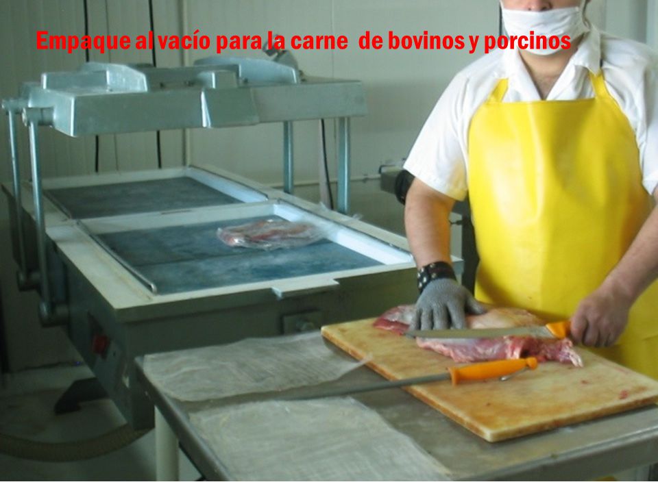 Empaque al vacío para la carne de bovinos y porcinos