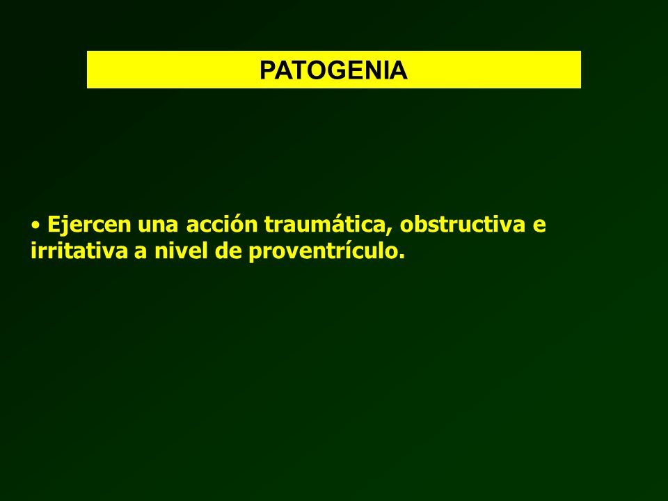 PATOGENIA Ejercen una acción traumática, obstructiva e irritativa a nivel de proventrículo.