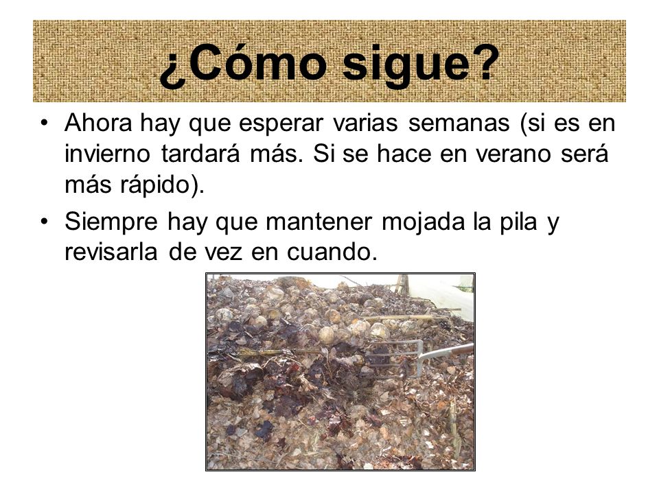 ¿Cómo sigue Ahora hay que esperar varias semanas (si es en invierno tardará más. Si se hace en verano será más rápido).