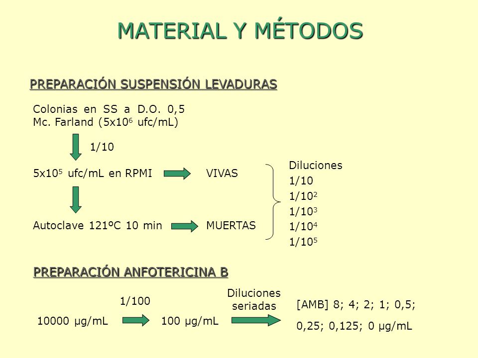MATERIAL Y MÉTODOS PREPARACIÓN SUSPENSIÓN LEVADURAS