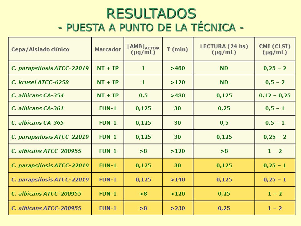 RESULTADOS - PUESTA A PUNTO DE LA TÉCNICA -