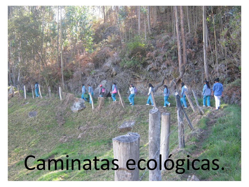 Caminatas ecológicas.