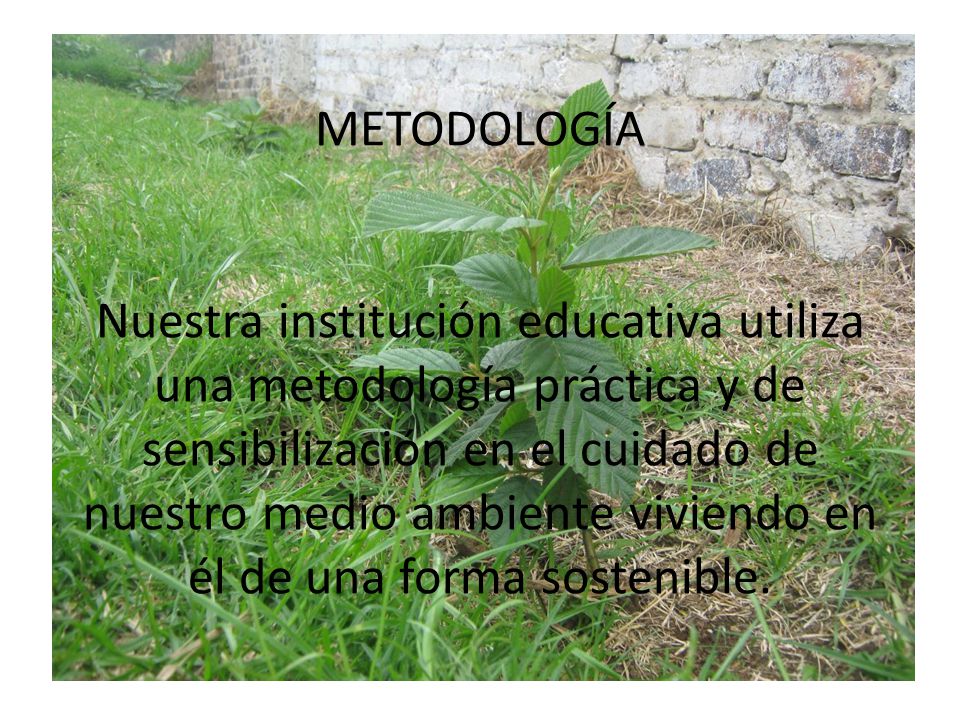METODOLOGÍA Nuestra institución educativa utiliza una metodología práctica y de sensibilización en el cuidado de nuestro medio ambiente viviendo en él de una forma sostenible.