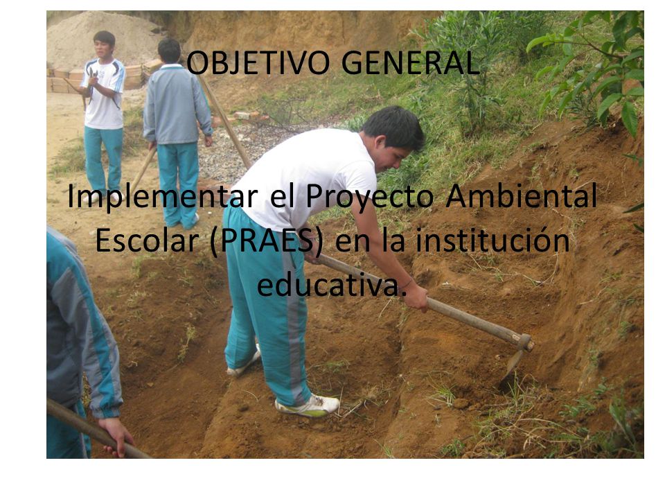 OBJETIVO GENERAL Implementar el Proyecto Ambiental Escolar (PRAES) en la institución educativa.