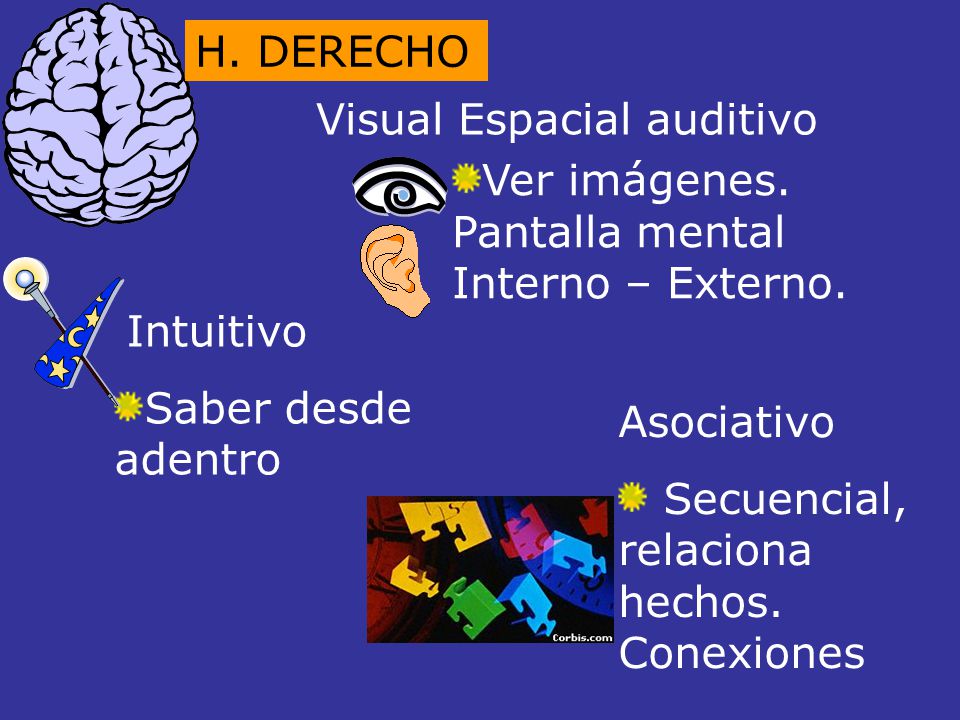 H. DERECHO Visual Espacial auditivo. Ver imágenes. Pantalla mental Interno – Externo. Intuitivo. Saber desde adentro.