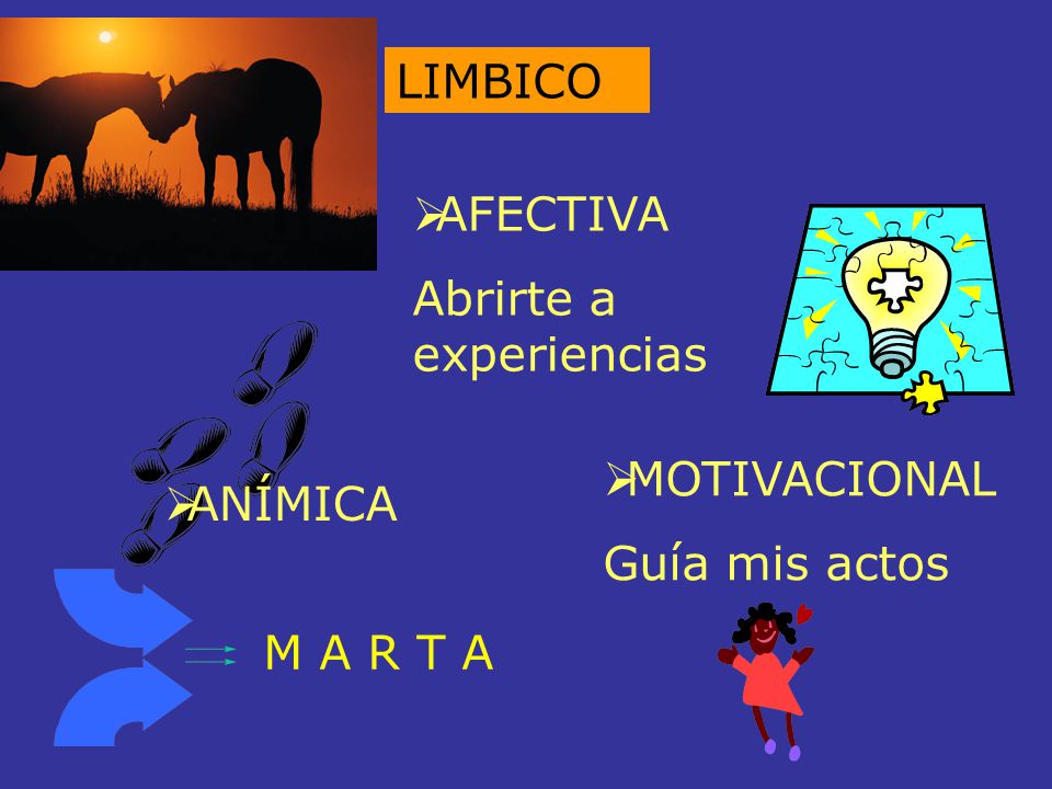 LIMBICO AFECTIVA Abrirte a experiencias MOTIVACIONAL Guía mis actos ANÍMICA M A R T A