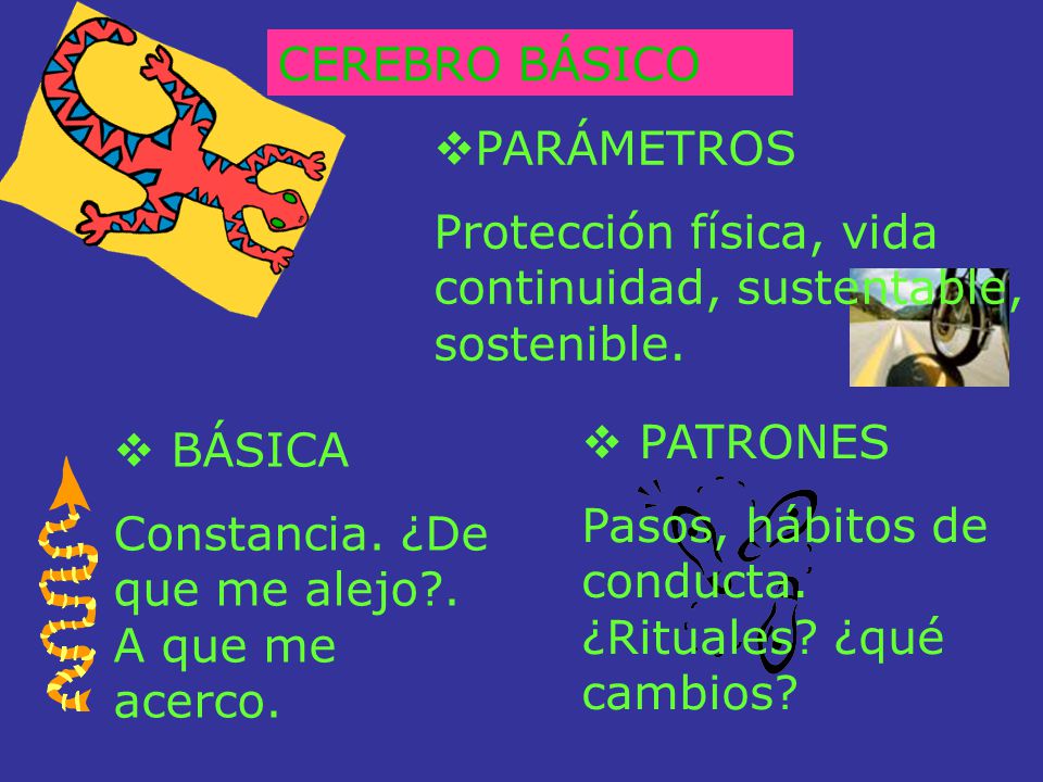 CEREBRO BÁSICO PARÁMETROS. Protección física, vida continuidad, sustentable, sostenible. PATRONES.
