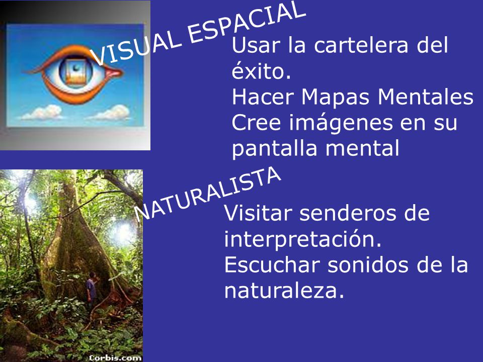 VISUAL ESPACIAL Usar la cartelera del éxito. Hacer Mapas Mentales Cree imágenes en su pantalla mental.