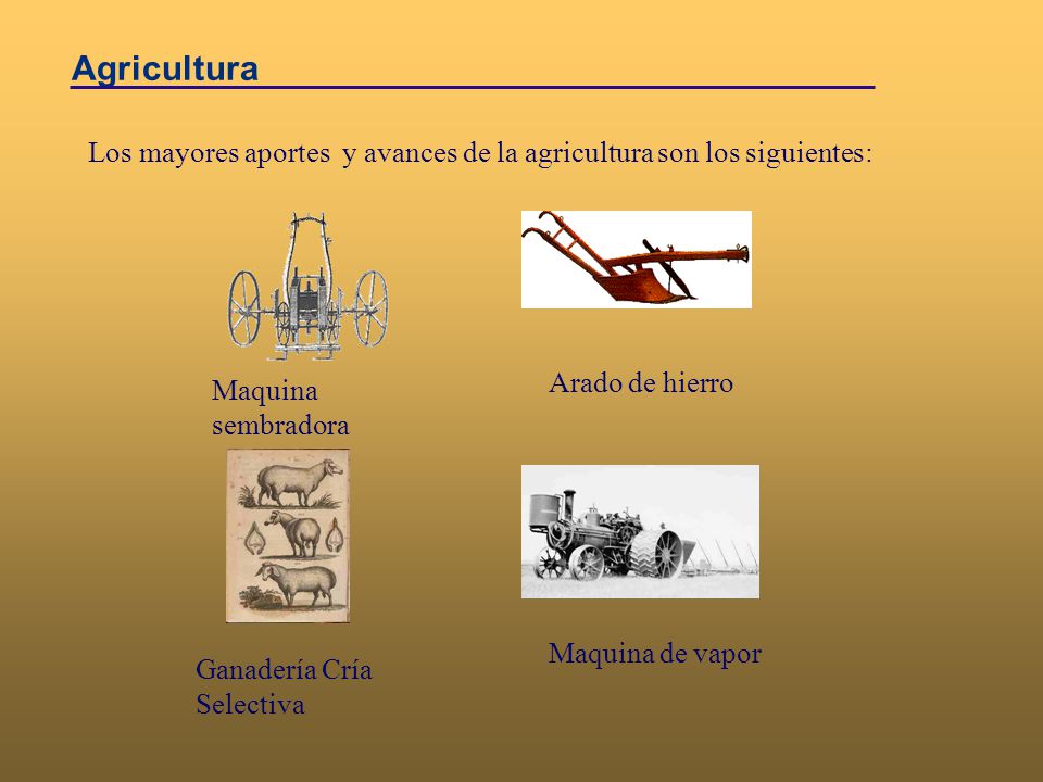 Agricultura Los mayores aportes y avances de la agricultura son los siguientes: Arado de hierro. Maquina sembradora.