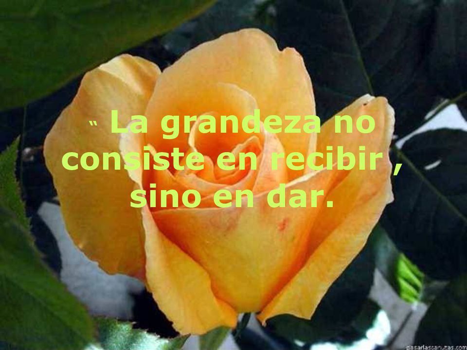 La grandeza no consiste en recibir , sino en dar.