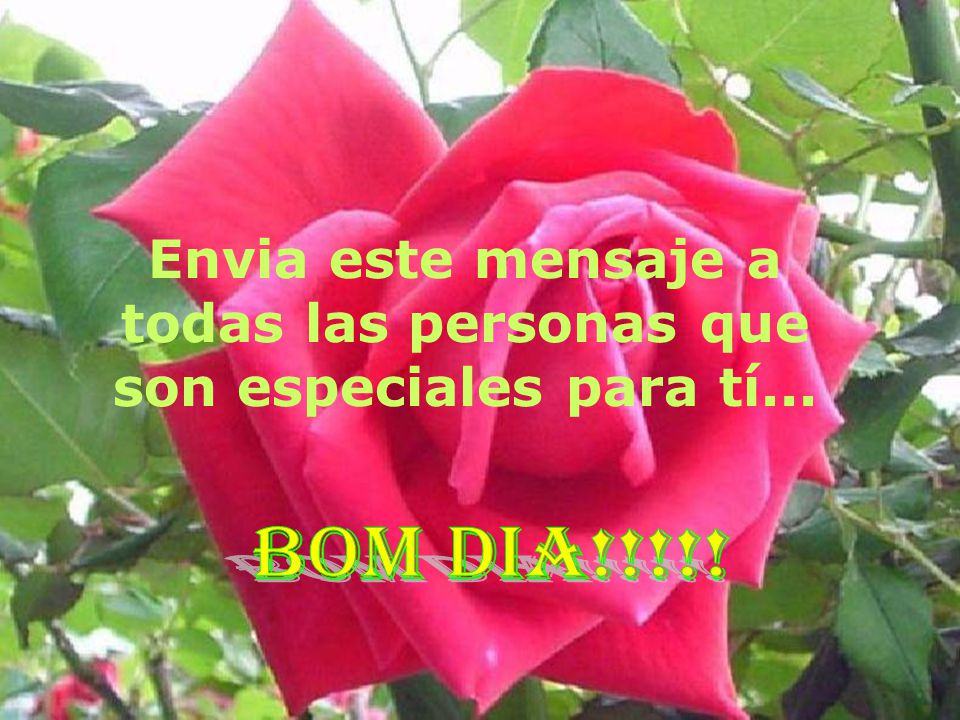Envia este mensaje a todas las personas que son especiales para tí...