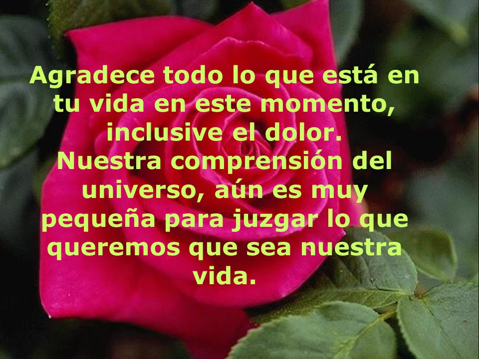 Agradece todo lo que está en tu vida en este momento, inclusive el dolor.