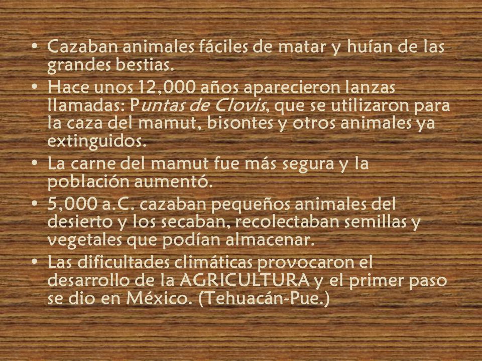 Cazaban animales fáciles de matar y huían de las grandes bestias.