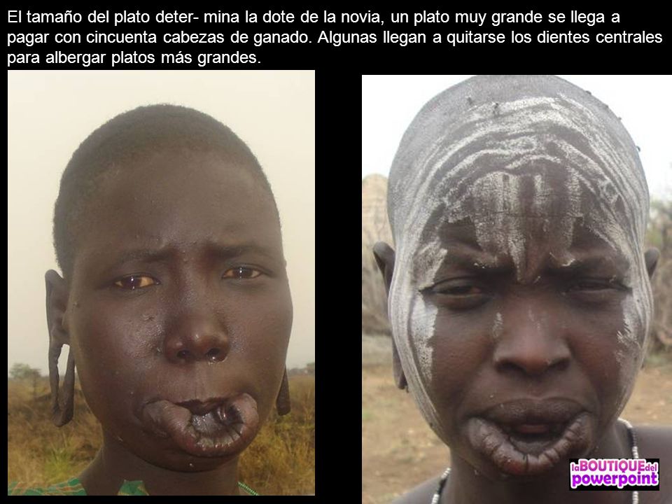 El tamaño del plato deter- mina la dote de la novia, un plato muy grande se llega a pagar con cincuenta cabezas de ganado.
