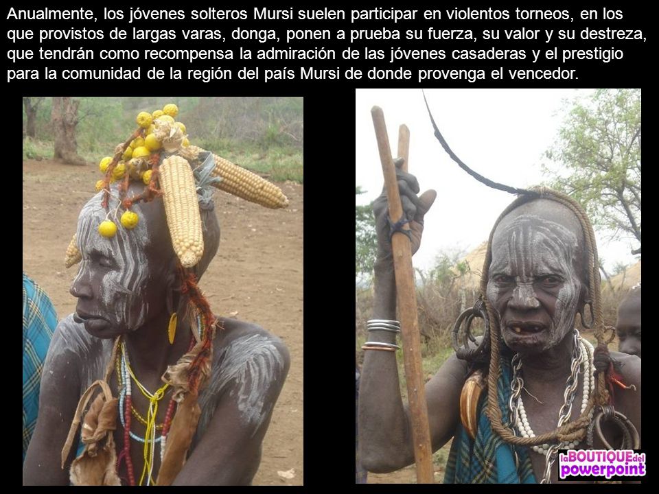 Anualmente, los jóvenes solteros Mursi suelen participar en violentos torneos, en los que provistos de largas varas, donga, ponen a prueba su fuerza, su valor y su destreza, que tendrán como recompensa la admiración de las jóvenes casaderas y el prestigio para la comunidad de la región del país Mursi de donde provenga el vencedor.