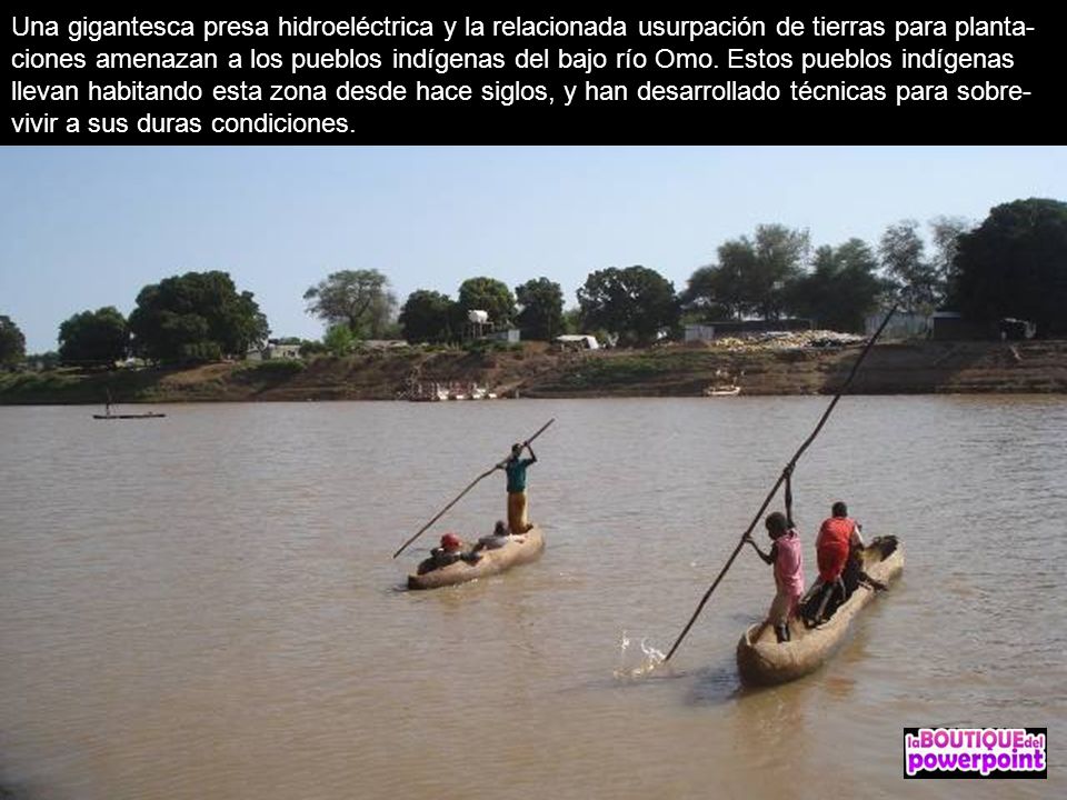 Una gigantesca presa hidroeléctrica y la relacionada usurpación de tierras para planta-ciones amenazan a los pueblos indígenas del bajo río Omo.