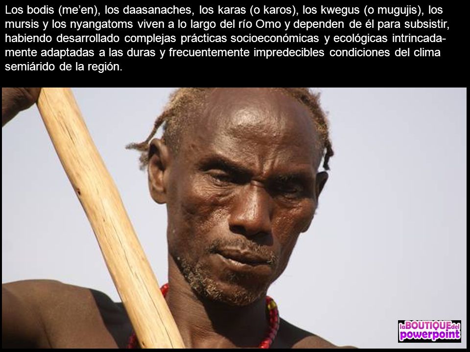 Los bodis (me’en), los daasanaches, los karas (o karos), los kwegus (o mugujis), los mursis y los nyangatoms viven a lo largo del río Omo y dependen de él para subsistir, habiendo desarrollado complejas prácticas socioeconómicas y ecológicas intrincada-mente adaptadas a las duras y frecuentemente impredecibles condiciones del clima semiárido de la región.