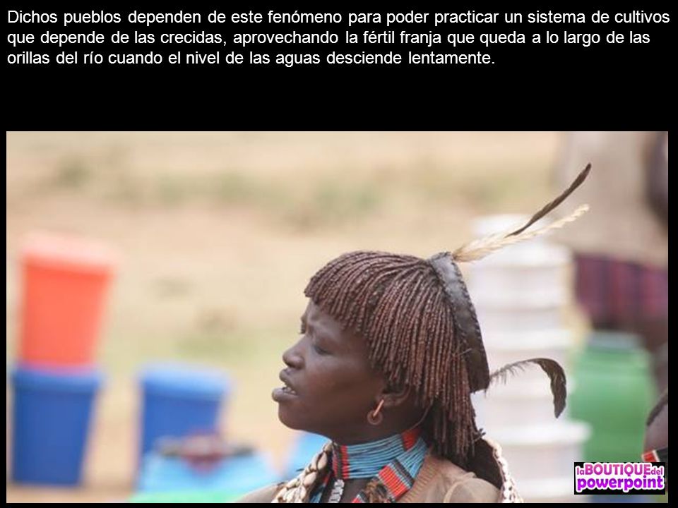 Dichos pueblos dependen de este fenómeno para poder practicar un sistema de cultivos que depende de las crecidas, aprovechando la fértil franja que queda a lo largo de las orillas del río cuando el nivel de las aguas desciende lentamente.