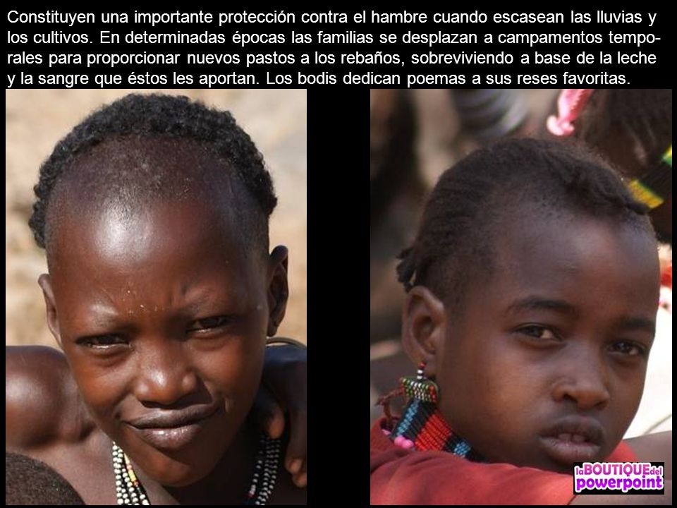 Constituyen una importante protección contra el hambre cuando escasean las lluvias y los cultivos.