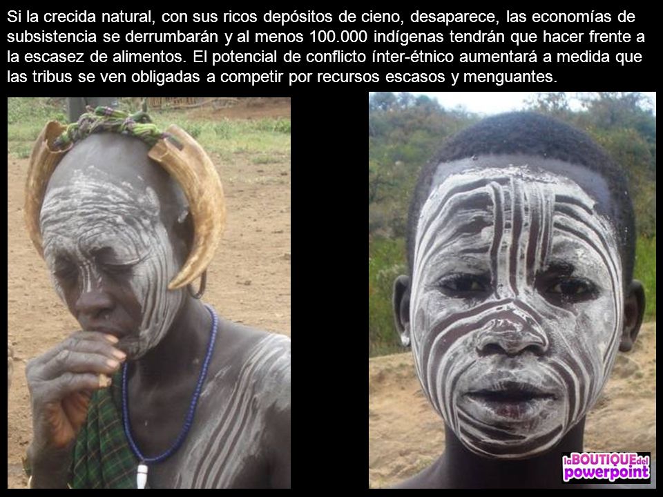Si la crecida natural, con sus ricos depósitos de cieno, desaparece, las economías de subsistencia se derrumbarán y al menos indígenas tendrán que hacer frente a la escasez de alimentos.
