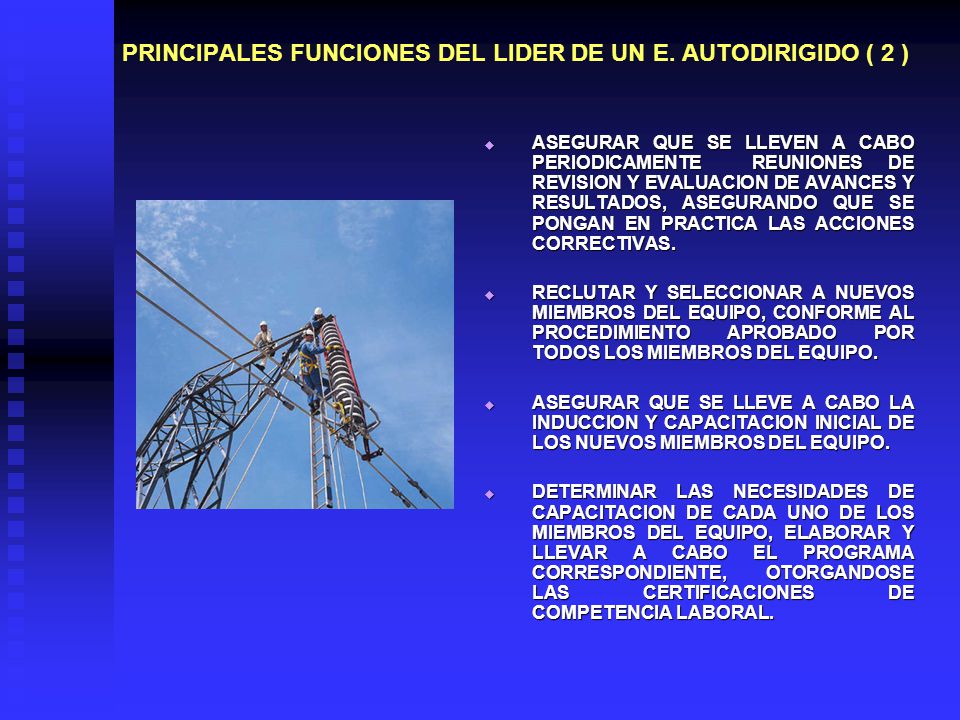 PRINCIPALES FUNCIONES DEL LIDER DE UN E. AUTODIRIGIDO ( 2 )