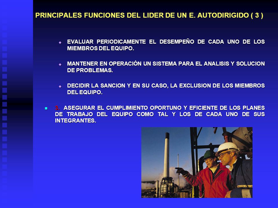 PRINCIPALES FUNCIONES DEL LIDER DE UN E. AUTODIRIGIDO ( 3 )