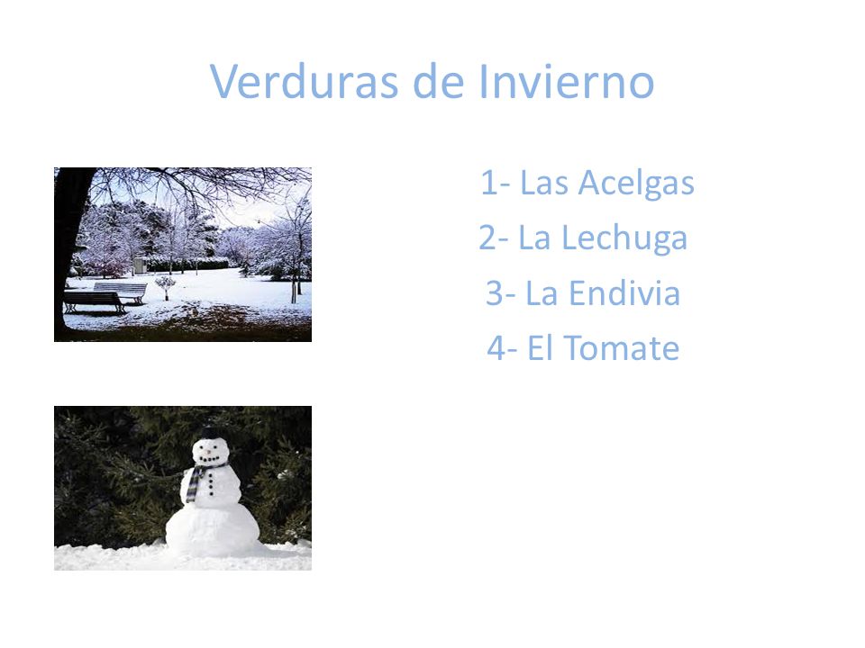 1- Las Acelgas 2- La Lechuga 3- La Endivia 4- El Tomate