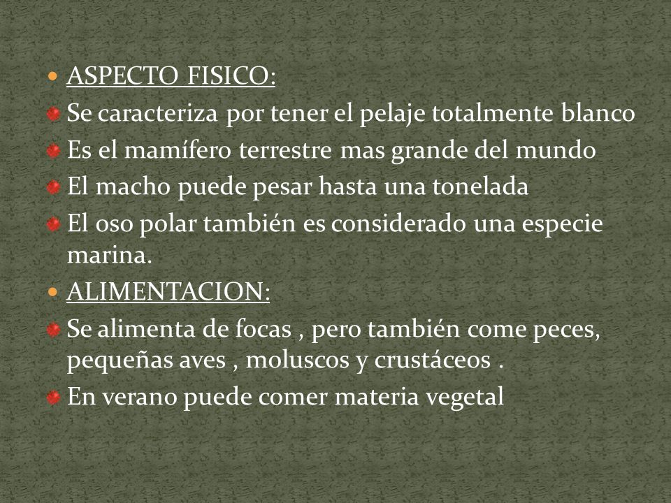 ASPECTO FISICO: Se caracteriza por tener el pelaje totalmente blanco. Es el mamífero terrestre mas grande del mundo.