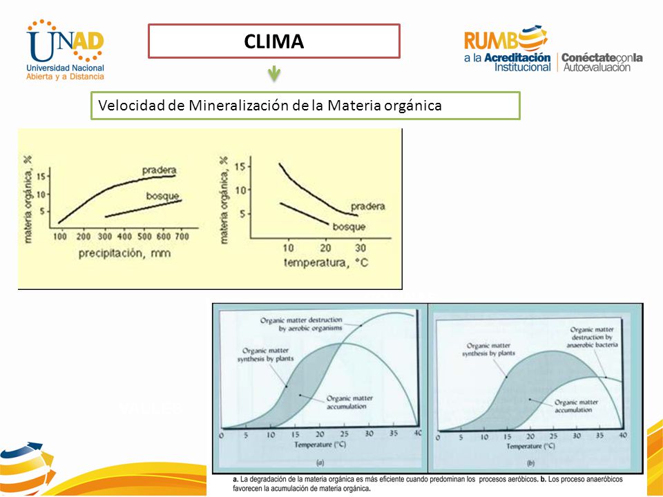 CLIMA Velocidad de Mineralización de la Materia orgánica COLINAS