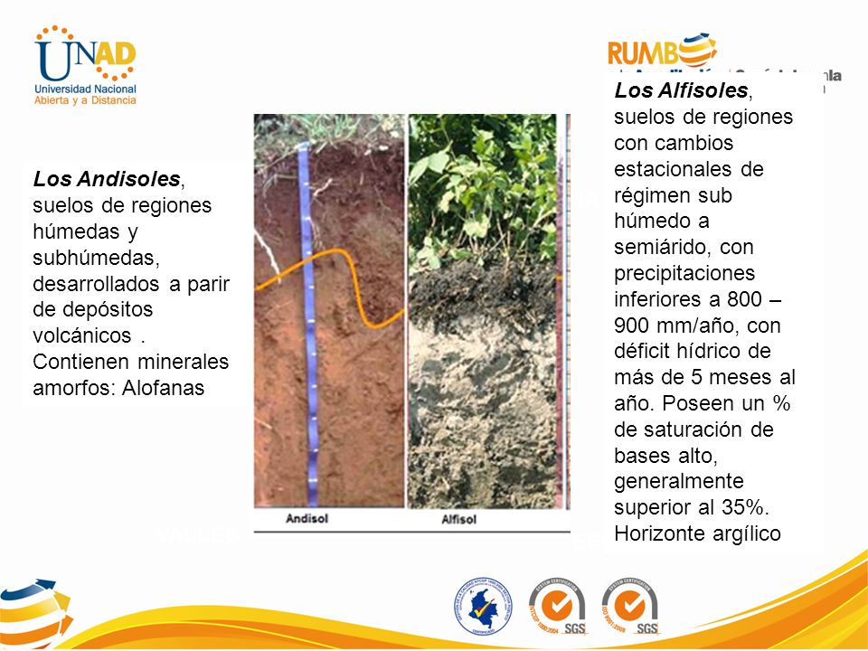 Los Alfisoles, suelos de regiones con cambios estacionales de régimen sub húmedo a semiárido, con precipitaciones inferiores a 800 – 900 mm/año, con déficit hídrico de más de 5 meses al año. Poseen un % de saturación de bases alto, generalmente superior al 35%.