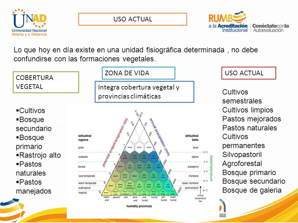 USO ACTUAL Lo que hoy en día existe en una unidad fisiográfica determinada , no debe confundirse con las formaciones vegetales.