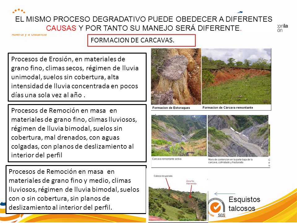 EL MISMO PROCESO DEGRADATIVO PUEDE OBEDECER A DIFERENTES CAUSAS Y POR TANTO SU MANEJO SERÁ DIFERENTE.