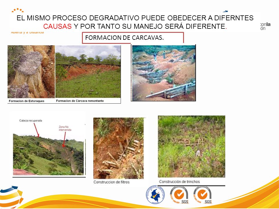 EL MISMO PROCESO DEGRADATIVO PUEDE OBEDECER A DIFERNTES CAUSAS Y POR TANTO SU MANEJO SERÁ DIFERENTE.