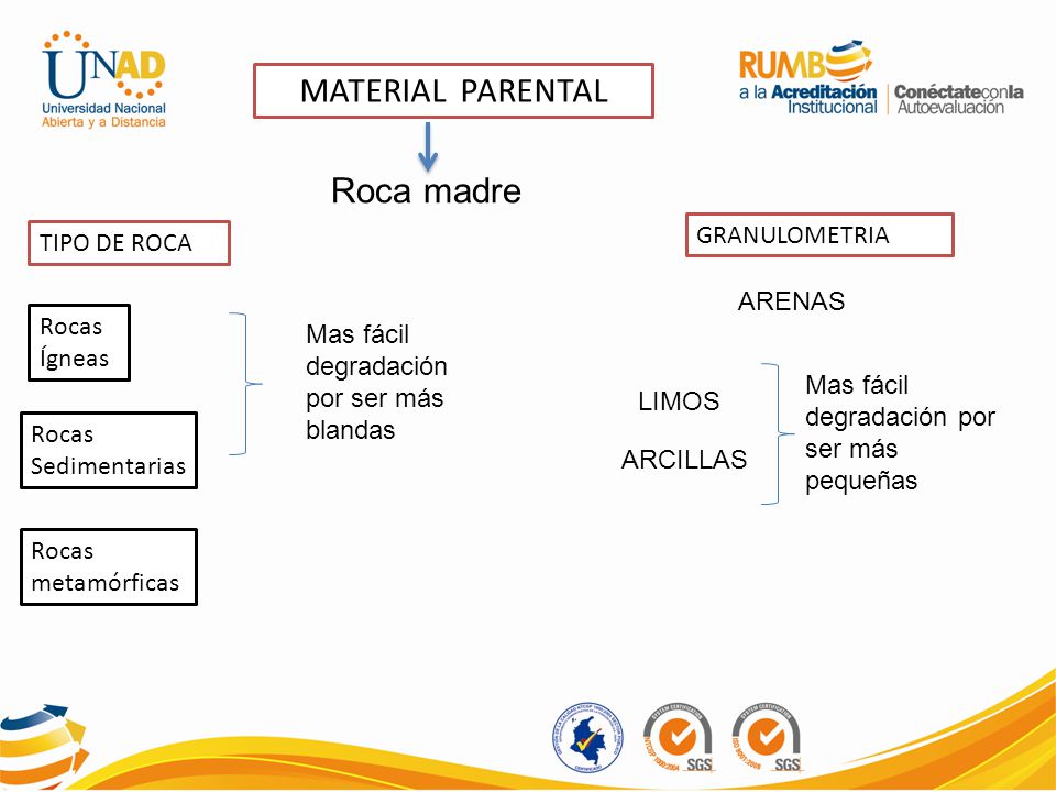 MATERIAL PARENTAL Roca madre GRANULOMETRIA TIPO DE ROCA ARENAS