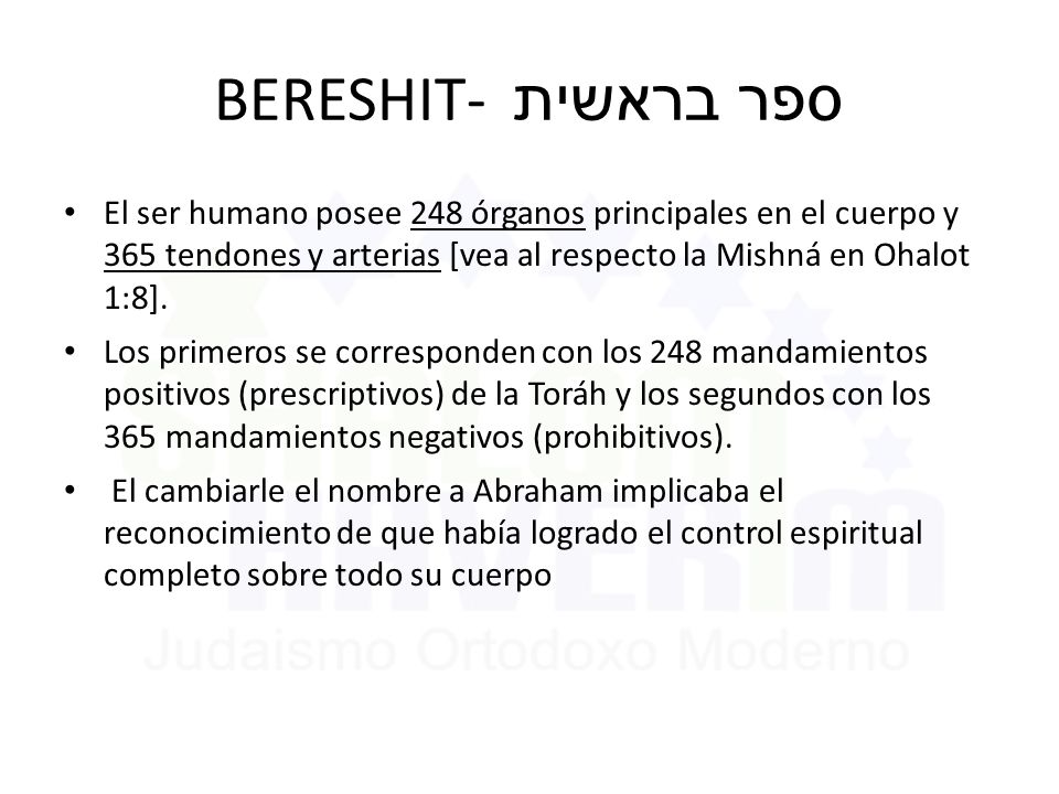BERESHIT- ספר בראשית El ser humano posee 248 órganos principales en el cuerpo y 365 tendones y arterias [vea al respecto la Mishná en Ohalot 1:8].
