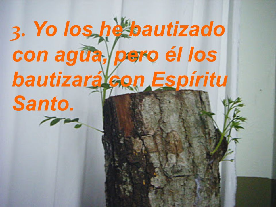 3. Yo los he bautizado con agua, pero él los bautizará con Espíritu Santo.