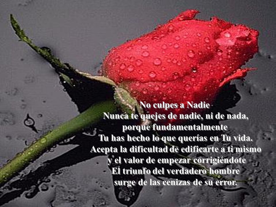 No culpes a Nadie Nunca te quejes de nadie, ni de nada, porque fundamentalmente Tu has hecho lo que querías en Tu vida.