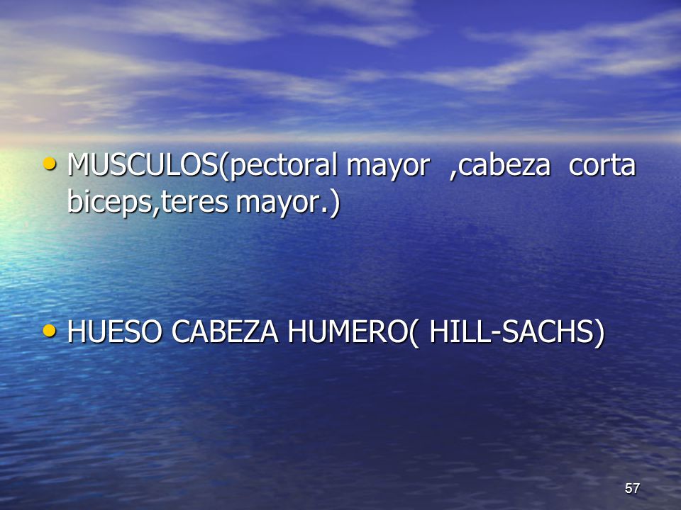 MUSCULOS(pectoral mayor ,cabeza corta biceps,teres mayor.)