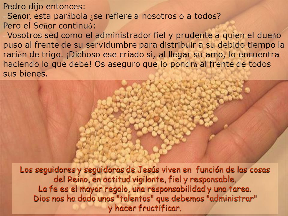 Pedro dijo entonces: –Señor, esta parábola ¿se refiere a nosotros o a todos Pero el Señor continuó: