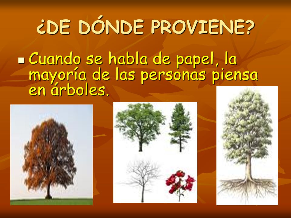 ¿DE DÓNDE PROVIENE Cuando se habla de papel, la mayoría de las personas piensa en árboles.
