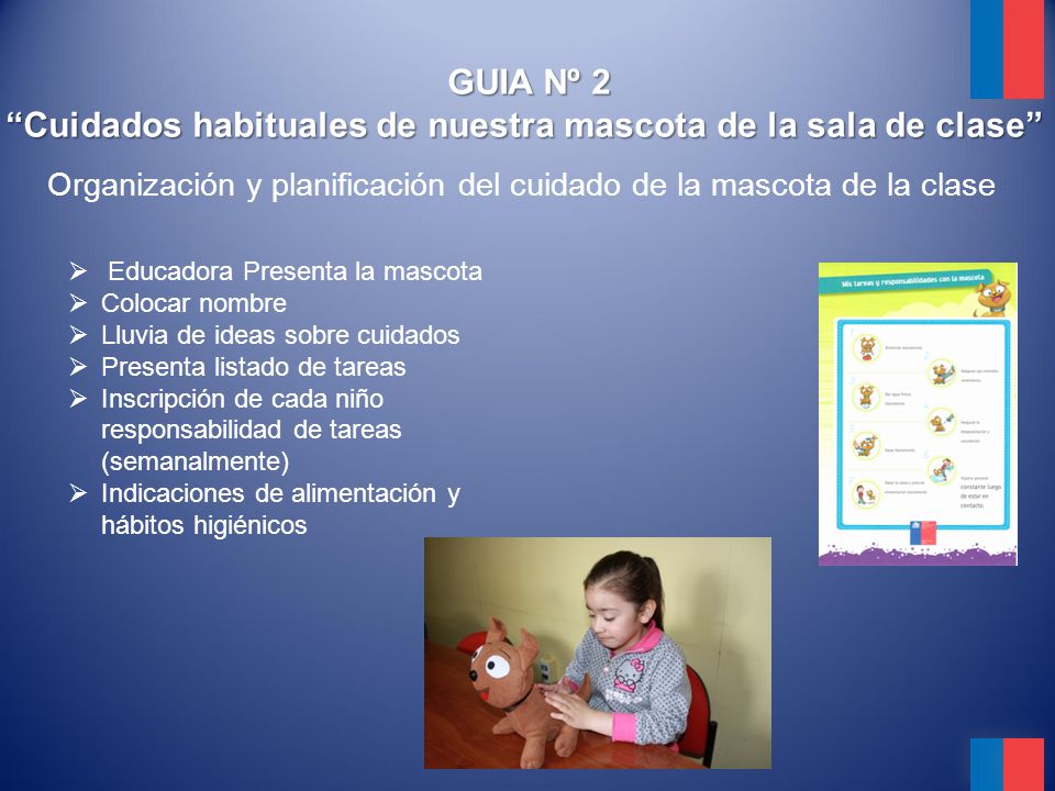 Cuidados habituales de nuestra mascota de la sala de clase