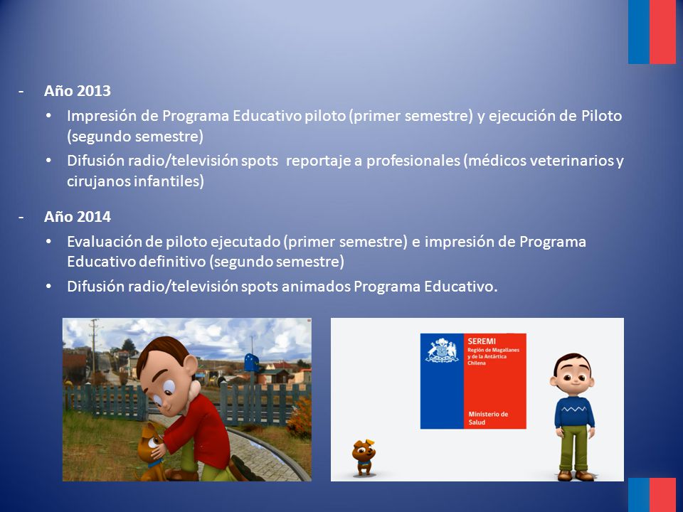 Año 2013 Impresión de Programa Educativo piloto (primer semestre) y ejecución de Piloto (segundo semestre)
