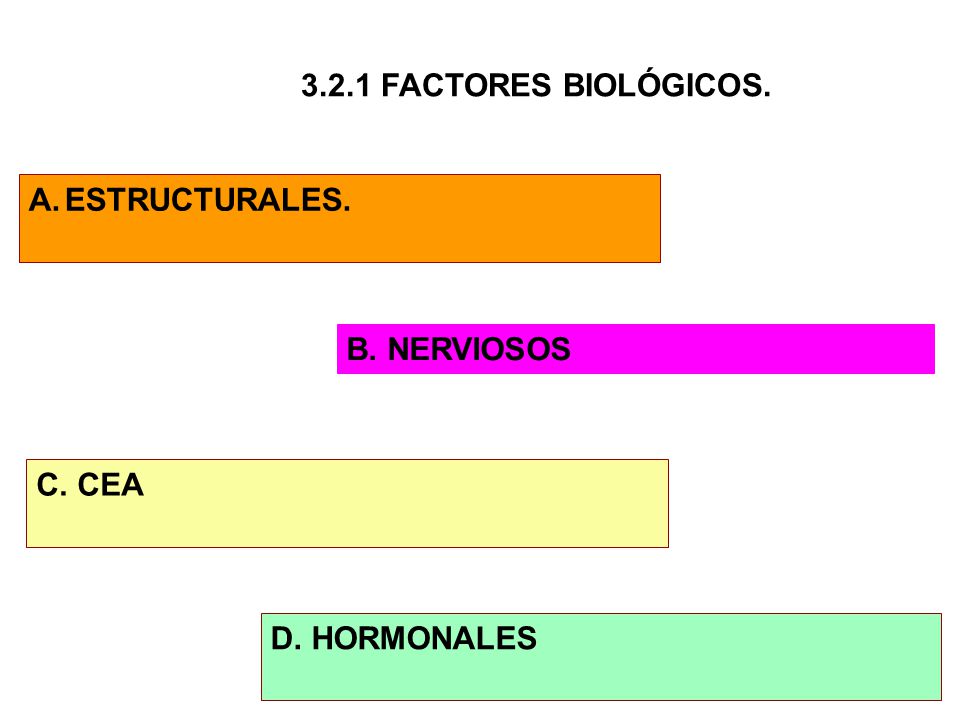 3.2.1 FACTORES BIOLÓGICOS. ESTRUCTURALES. B. NERVIOSOS C. CEA D. HORMONALES