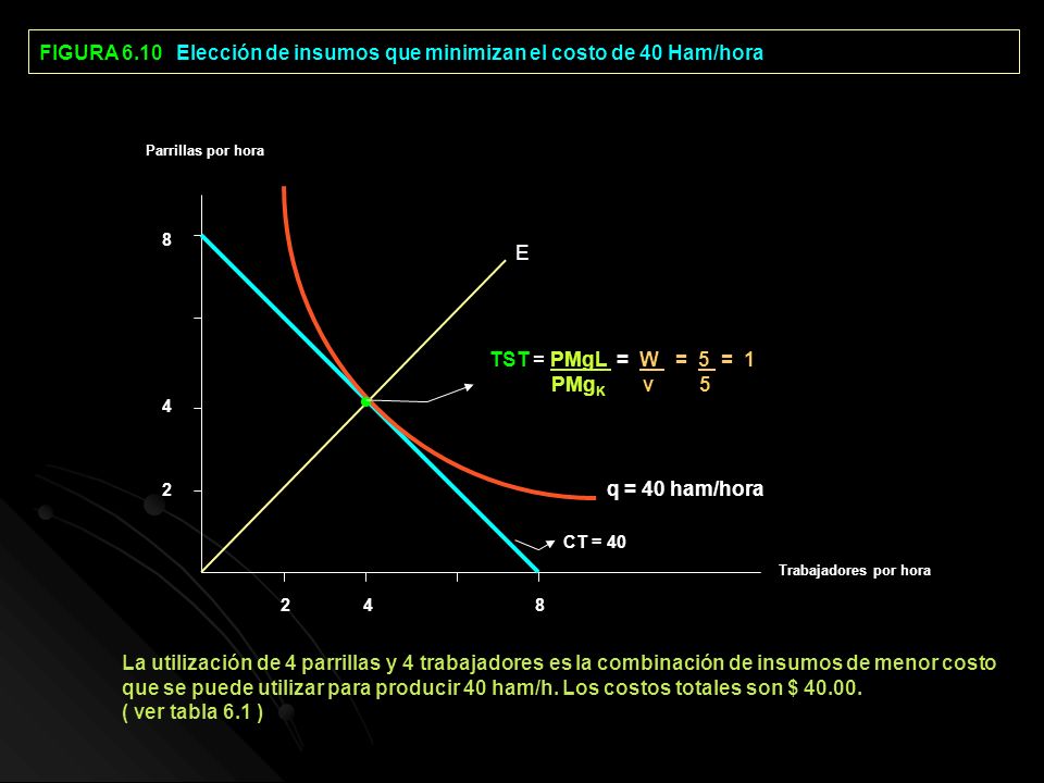 FIGURA 6.10 Elección de insumos que minimizan el costo de 40 Ham/hora