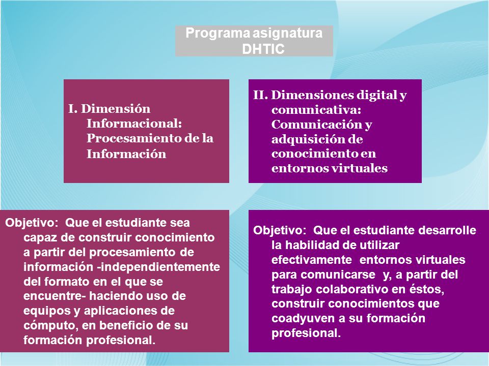 Programa asignatura DHTIC
