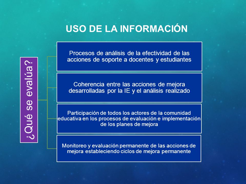 USO DE LA INFORMACIÓN ¿Qué se evalúa