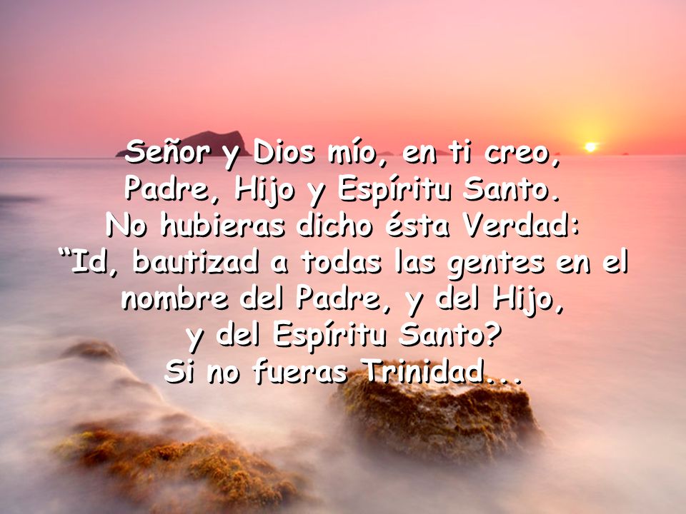 Señor y Dios mío, en ti creo, Padre, Hijo y Espíritu Santo.