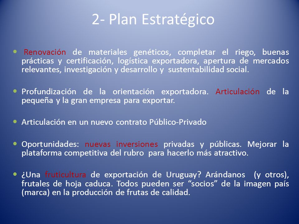2- Plan Estratégico